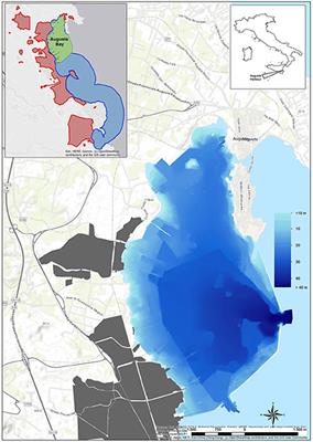 10-year time course of Hg and organic compounds in Augusta Bay: Bioavailability and biological effects in marine organisms